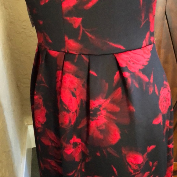 En Focus Studio dress - Picture 4 of 7